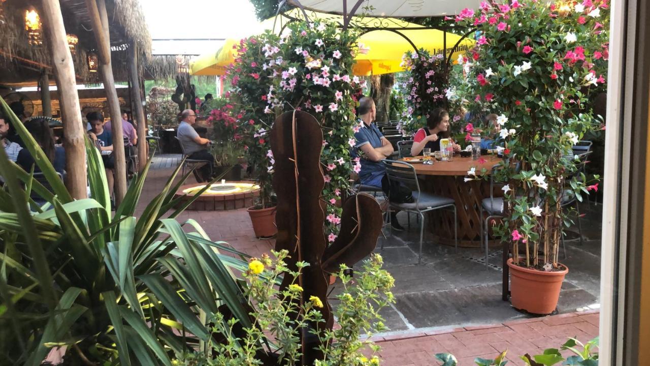 Zys Hotel Wettingen Zewnętrze zdjęcie